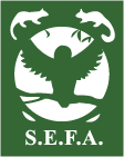 SEFA LOGO